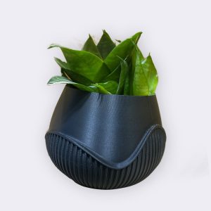 Početna wavy v1
