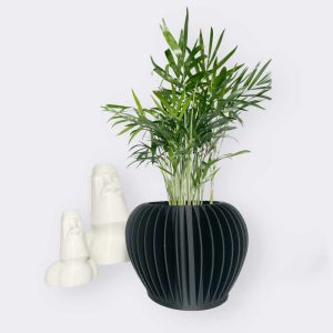 ribbed v1